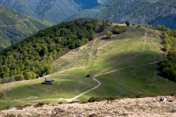 Pannello 30x45 - Panoramica Zegna