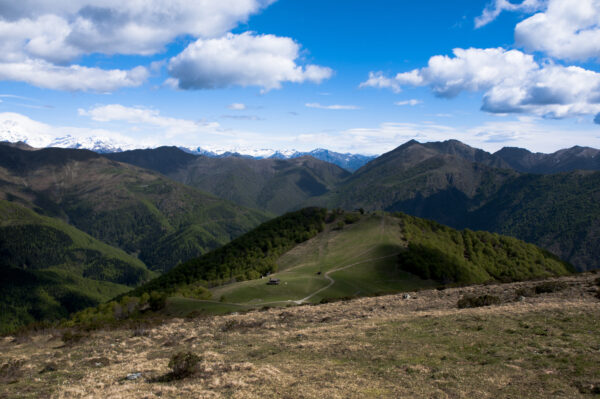 Pannello 30x45 - Panoramica Zegna