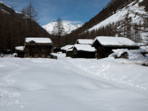 Cogne