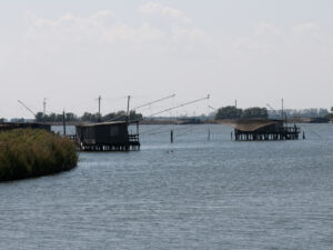 Pannello 30x45 - Delta del Po