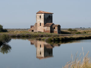 Pannello 30x45 - Delta del Po