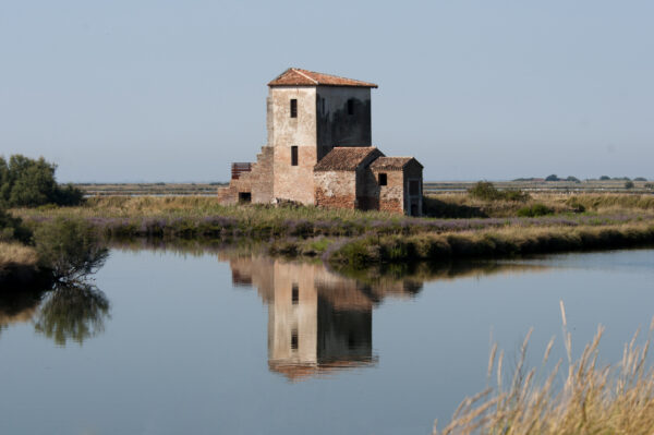 Pannello 30x45 - Delta del Po